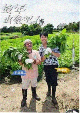 出发吧周末综艺封面